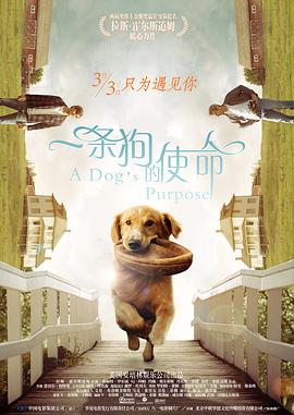 九九在线播放